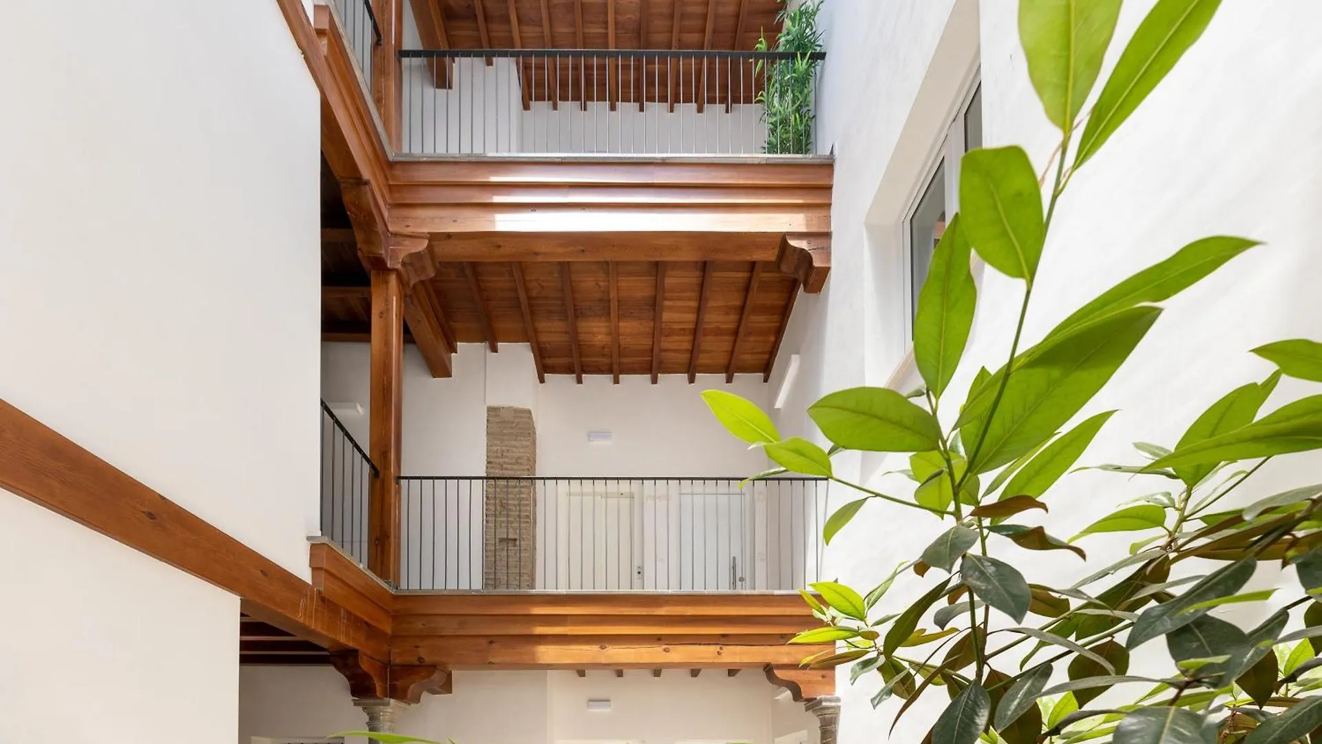 Luxury Suite San Diego Granada Apartamento